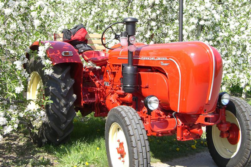 Porsche Traktor - Ungerichthof in Kuens