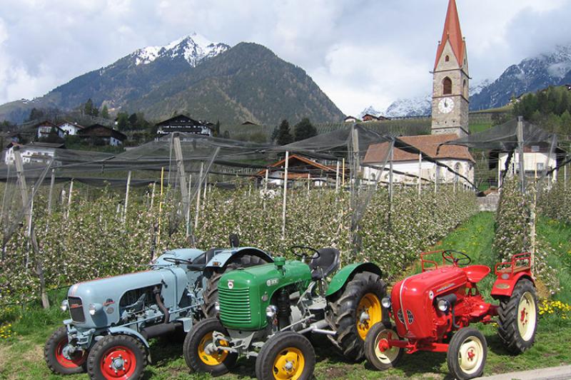 Traktoren - Burggräfler Schlepperfreunde